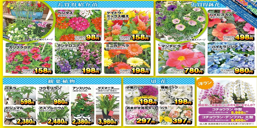 300524-花のある暮らし-表1040-520