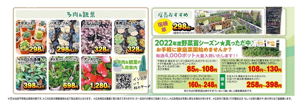 220519-花ひろば-多肉・やさい苗-1000-350
